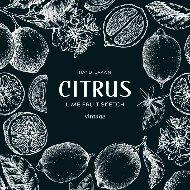 Lime fruit frame. Botanical design template. Citrus fruit sketches on chalkboard. Exotic plants banner. Hand drawn vector illustration. NOT AI generated